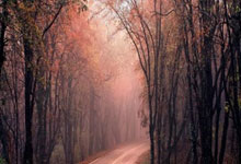 高壽命叉車電池組：叉車電源的未來選擇