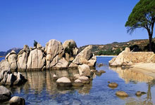 牽引蓄電池推薦：選擇適合您需求的最佳方案